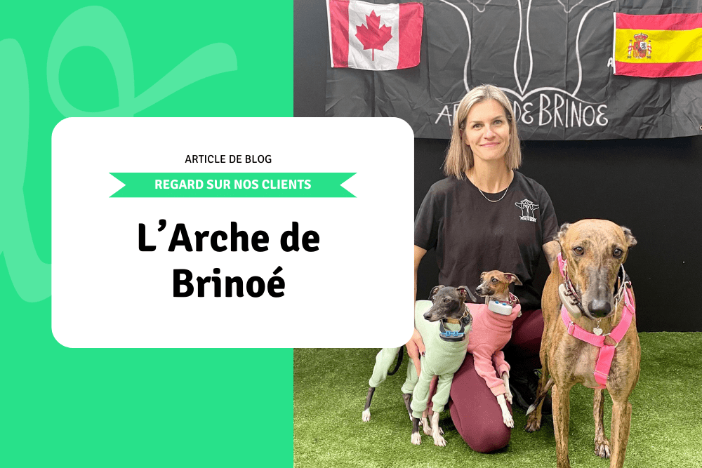 Regard sur nos clients: L'Arche de BriNoé