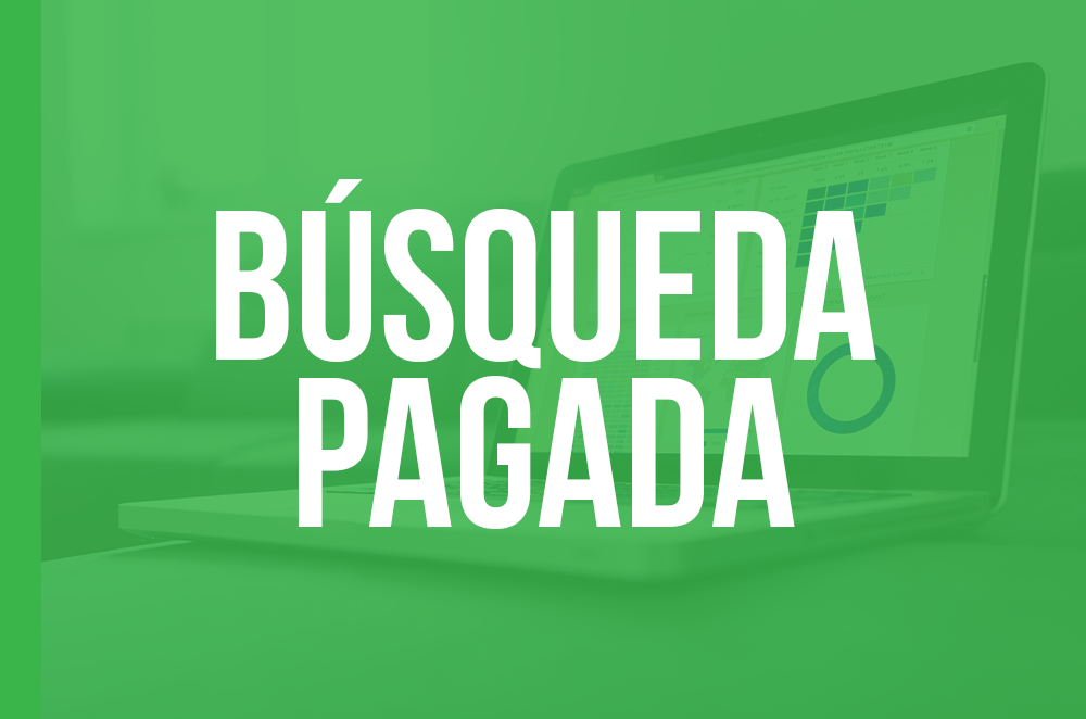 Búsqueda Pagada (SEA: Search Engine Advertising)