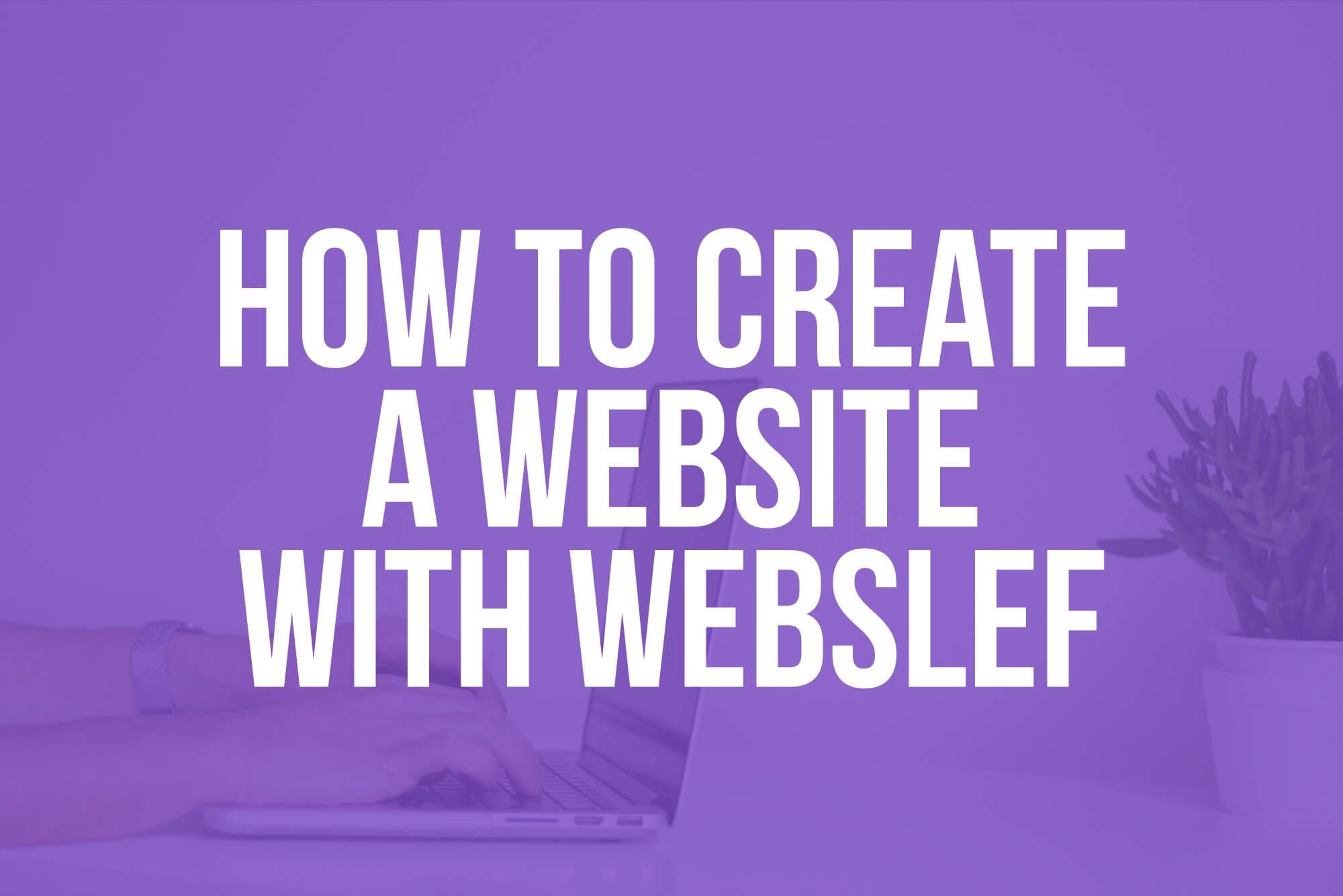 How to create a website with webself