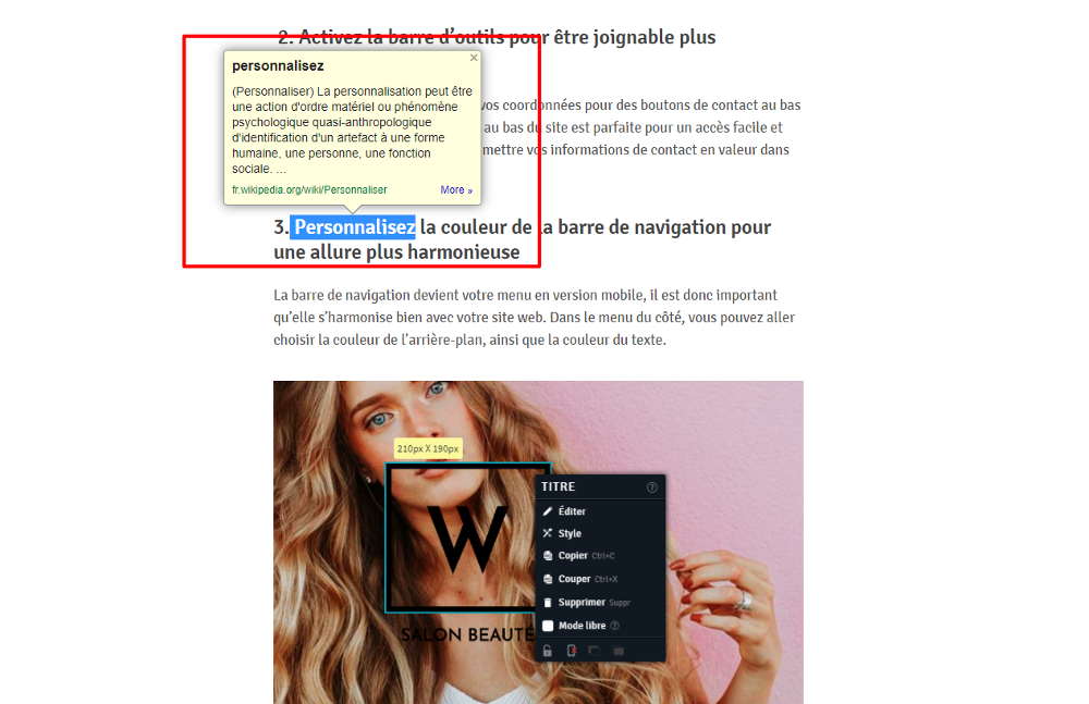 Image blog WebSelf
