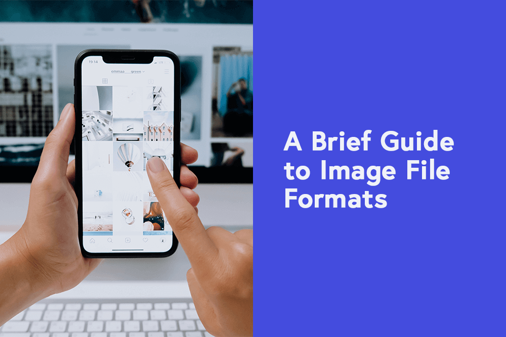 A Brief Guide to Image File Formats