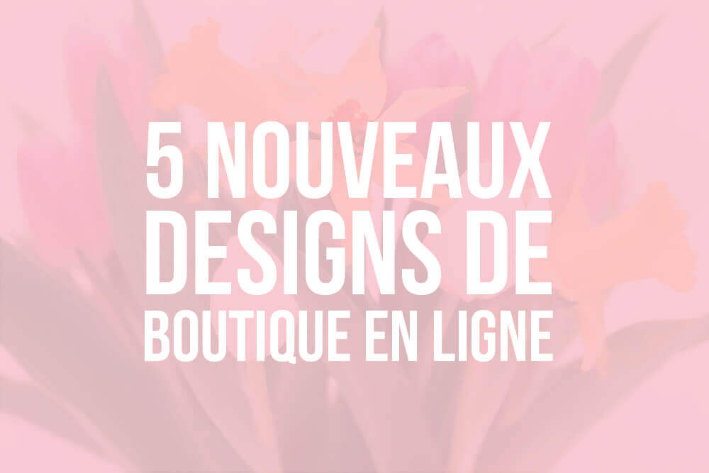 Les 5 nouveaux designs de boutique en ligne WebSelf