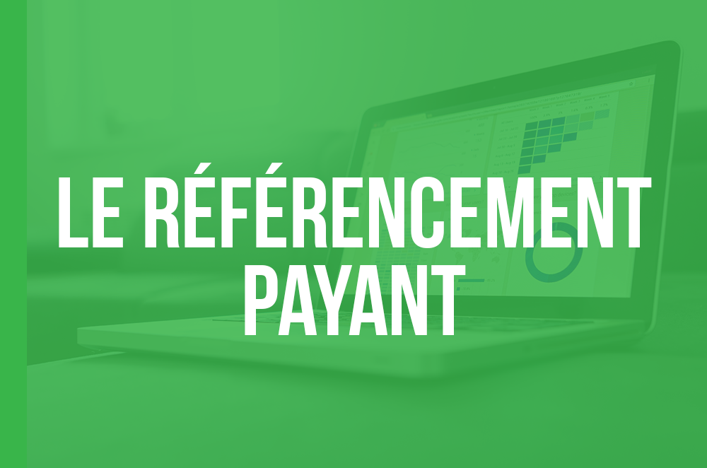 Le référencement payant ( SEA : Search engine advertising)