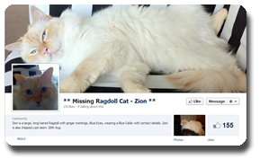 A Facebook success story