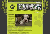 Site web client Impérial Bulldog Puppies